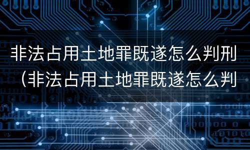 非法占用土地罪既遂怎么判刑（非法占用土地罪既遂怎么判刑的）