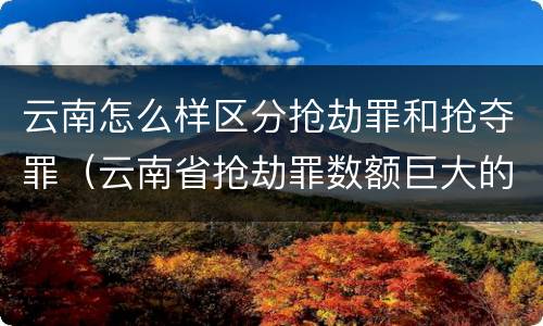 云南怎么样区分抢劫罪和抢夺罪（云南省抢劫罪数额巨大的标准）