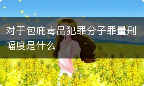 对于包庇毒品犯罪分子罪量刑幅度是什么