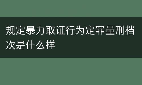 规定暴力取证行为定罪量刑档次是什么样