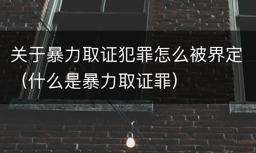 关于暴力取证犯罪怎么被界定（什么是暴力取证罪）