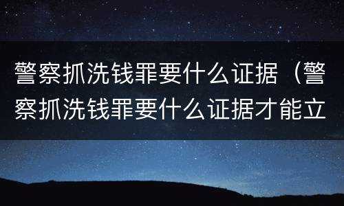 警察抓洗钱罪要什么证据（警察抓洗钱罪要什么证据才能立案）