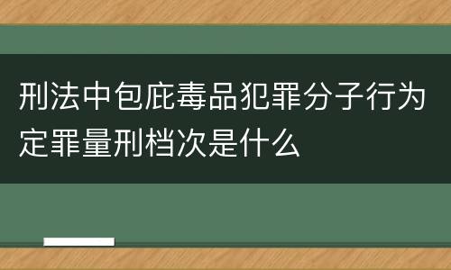 刑法中包庇毒品犯罪分子行为定罪量刑档次是什么
