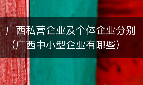 广西私营企业及个体企业分别（广西中小型企业有哪些）