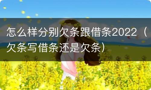 怎么样分别欠条跟借条2022（欠条写借条还是欠条）