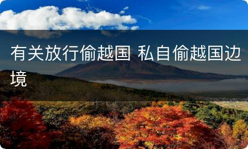 有关放行偷越国 私自偷越国边境