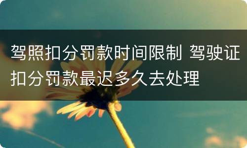驾照扣分罚款时间限制 驾驶证扣分罚款最迟多久去处理