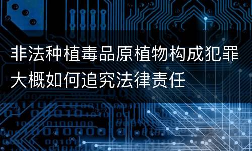 非法种植毒品原植物构成犯罪大概如何追究法律责任