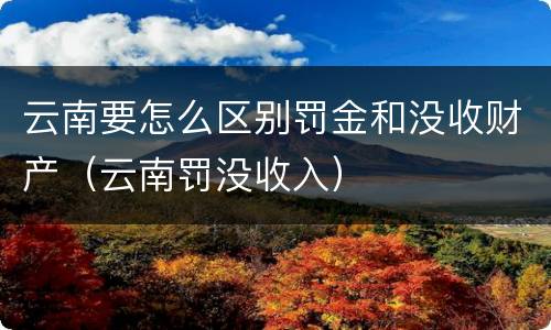 云南要怎么区别罚金和没收财产（云南罚没收入）