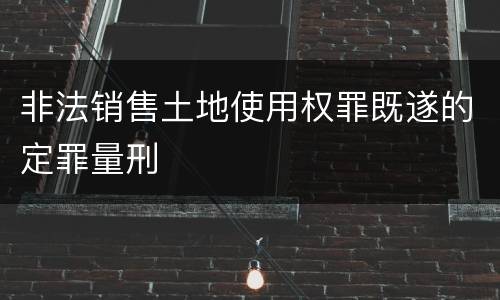 非法销售土地使用权罪既遂的定罪量刑