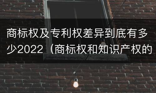 商标权及专利权差异到底有多少2022（商标权和知识产权的区别）