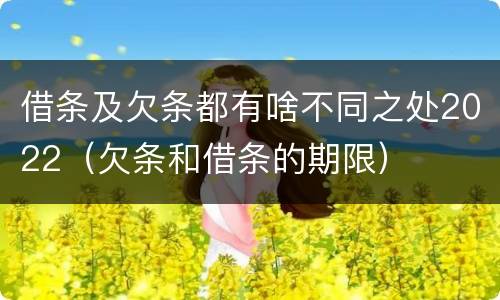 借条及欠条都有啥不同之处2022（欠条和借条的期限）