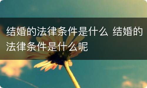 结婚的法律条件是什么 结婚的法律条件是什么呢