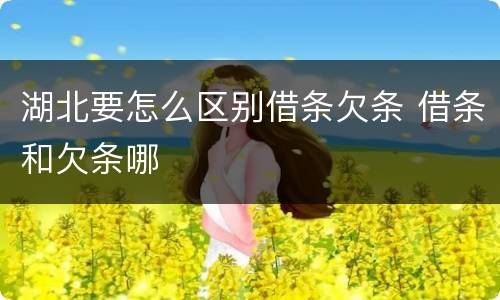 湖北要怎么区别借条欠条 借条和欠条哪