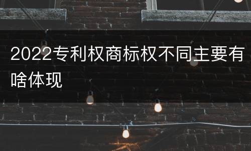 2022专利权商标权不同主要有啥体现