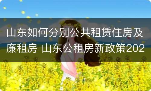 山东如何分别公共租赁住房及廉租房 山东公租房新政策2021