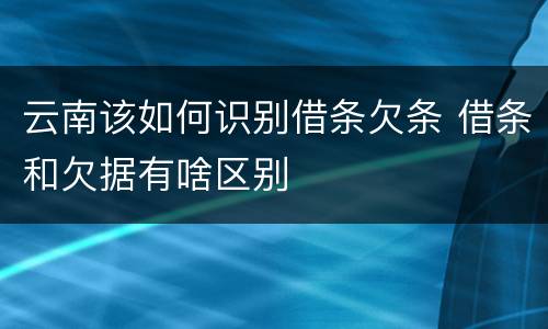 云南该如何识别借条欠条 借条和欠据有啥区别