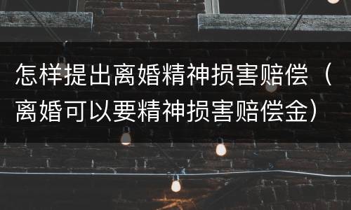 怎样提出离婚精神损害赔偿（离婚可以要精神损害赔偿金）
