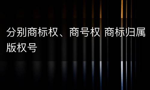 分别商标权、商号权 商标归属版权号