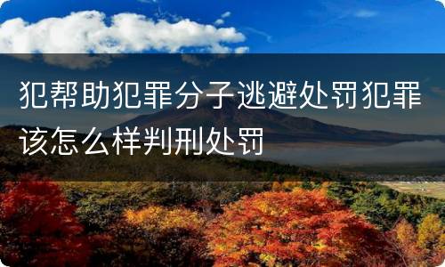 犯帮助犯罪分子逃避处罚犯罪该怎么样判刑处罚