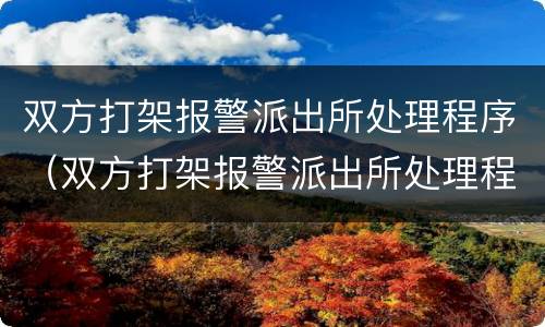 双方打架报警派出所处理程序（双方打架报警派出所处理程序是什么）