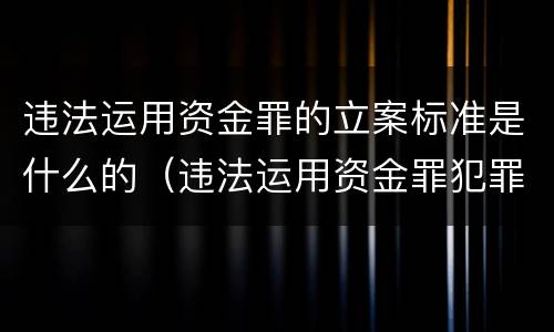 违法运用资金罪的立案标准是什么的（违法运用资金罪犯罪主体）