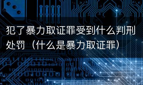 犯了暴力取证罪受到什么判刑处罚（什么是暴力取证罪）