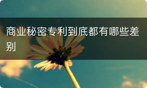 商业秘密专利到底都有哪些差别