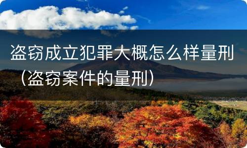 盗窃成立犯罪大概怎么样量刑（盗窃案件的量刑）