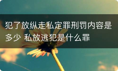 犯了放纵走私定罪刑罚内容是多少 私放逃犯是什么罪