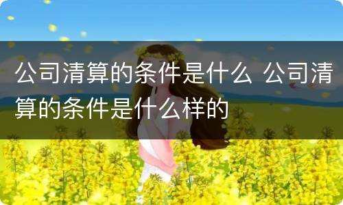 公司清算的条件是什么 公司清算的条件是什么样的