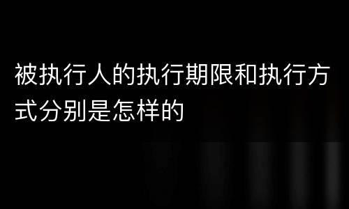 被执行人的执行期限和执行方式分别是怎样的