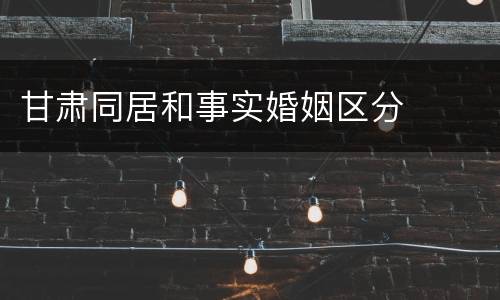 甘肃同居和事实婚姻区分