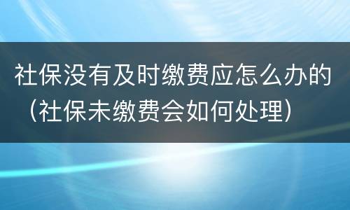 社保没有及时缴费应怎么办的（社保未缴费会如何处理）