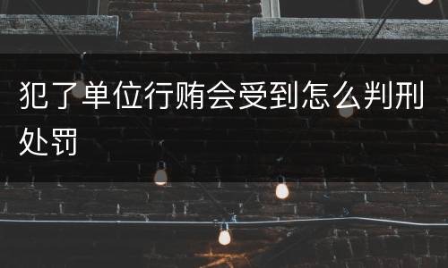 犯了单位行贿会受到怎么判刑处罚