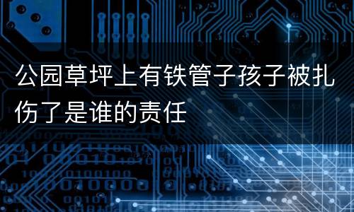 公园草坪上有铁管子孩子被扎伤了是谁的责任