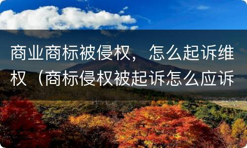 商业商标被侵权，怎么起诉维权（商标侵权被起诉怎么应诉）