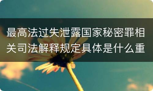 最高法过失泄露国家秘密罪相关司法解释规定具体是什么重要内容