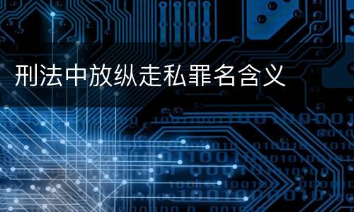 刑法中放纵走私罪名含义