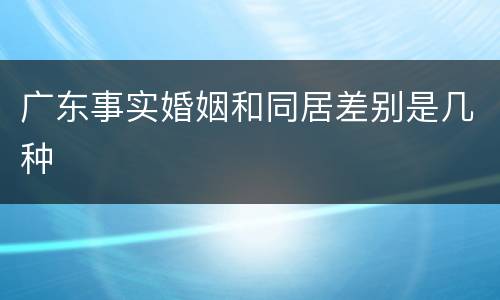 广东事实婚姻和同居差别是几种