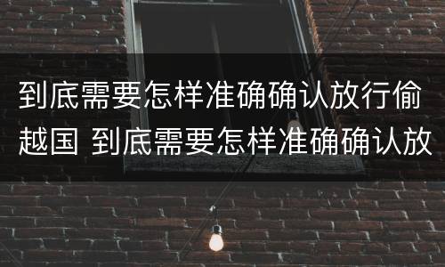 到底需要怎样准确确认放行偷越国 到底需要怎样准确确认放行偷越国货币
