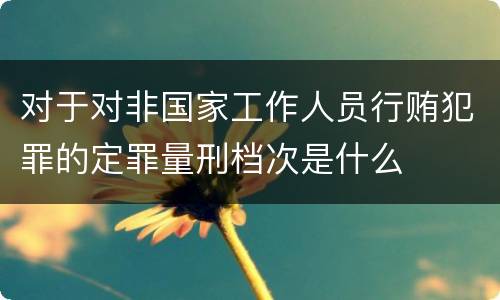 对于对非国家工作人员行贿犯罪的定罪量刑档次是什么