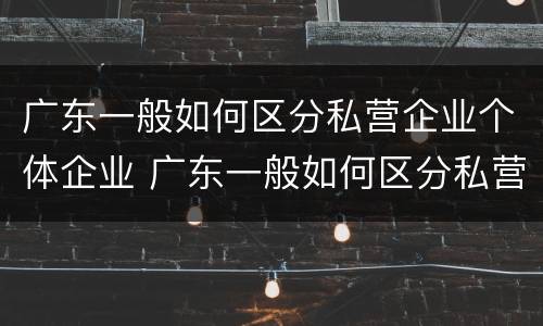 广东一般如何区分私营企业个体企业 广东一般如何区分私营企业个体企业和企业