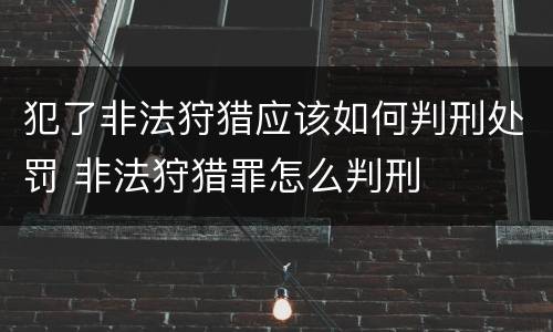 犯了非法狩猎应该如何判刑处罚 非法狩猎罪怎么判刑