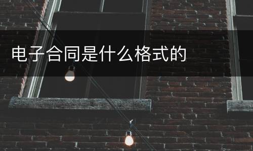 电子合同是什么格式的