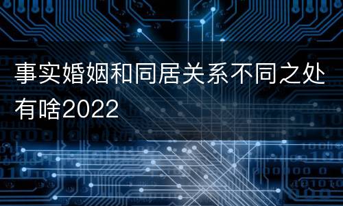 事实婚姻和同居关系不同之处有啥2022