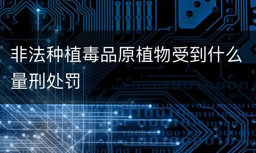 非法种植毒品原植物受到什么量刑处罚