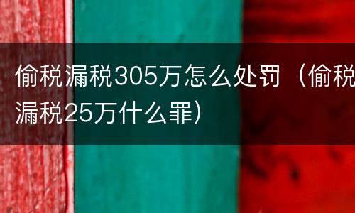偷税漏税305万怎么处罚（偷税漏税25万什么罪）