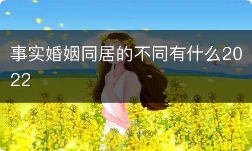 事实婚姻同居的不同有什么2022