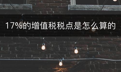 17%的增值税税点是怎么算的
